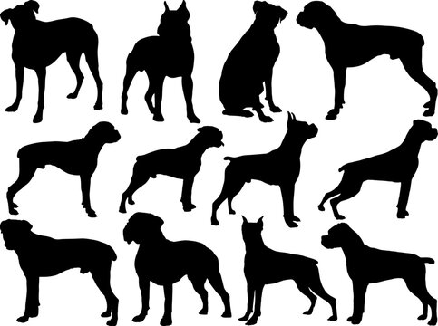 Set of Boxer Dogs Silhouette