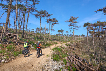 active senior couple on a bike tour with their electric mountain bikes in a burned forest of the Karst Mountains of Slovenia near Solkan