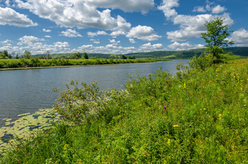 Summer photo. floodplain meadows A meadow (or floodplain) is an area of ​​meadows or pastures on the banks of a river that is prone to seasonal flooding.