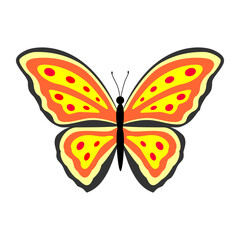 Butterfly. Color vector illustration in flat style. Isolated on white background.