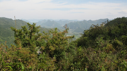 natural scenery - generative ai