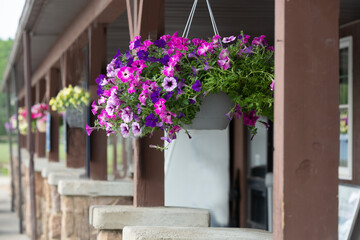 balcony with hanging flowers in region