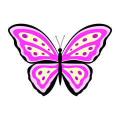 Butterfly. Color vector illustration in flat style. Isolated on white background.
