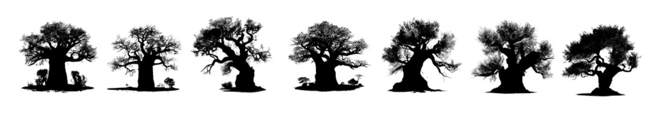 Obraz na płótnie Canvas silhouette of a tree