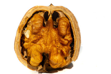 Walnut. For me, love is like walnuts. It should be taken regularly and in small amounts.