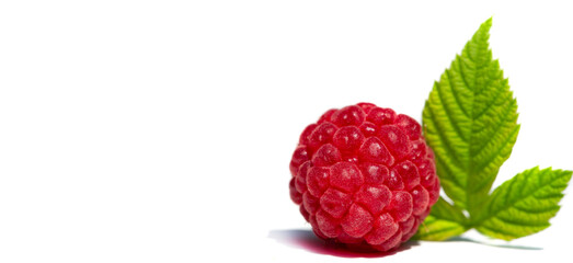 Raspberry. it is a healthy, tasty berry that consumers should enjoy during the summer months....