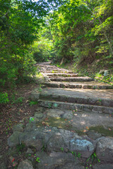 山登りの途中の階段がどこまでも続く
