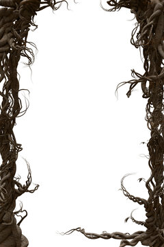 A 3d rendered illustration of a frame with entangled  branches as an overlay