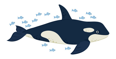 Obraz na płótnie Canvas Cartoon swimming orca. Ocean cute killer whale creature, underwater marine orca predator flat vector illustration on white background