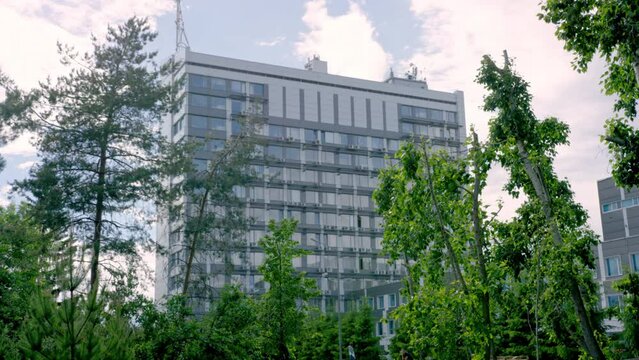Men city workers lay green turf among trees in city park. High rise building with transparent office windows located near park territory