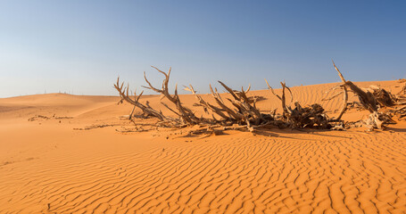 Desert sand - logs, grass and sky. Generative AI illustration