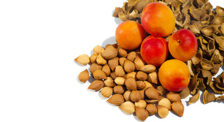 Naklejka na ściany i meble Apricot kernels, in the food industry, apricot kernels can be used in the preparation of low-fat biscuits, cookies, cakes, in the manufacture of antimicrobial films.
