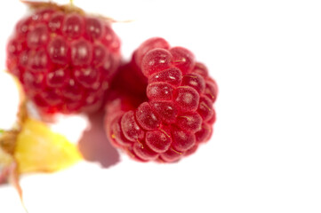 Raspberry. In late summer, native raspberries make their way from the fields to your fridge in abundance. This is a great opportunity to take advantage of this delicate fruit and put it to good use