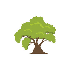 oak tree logo icon