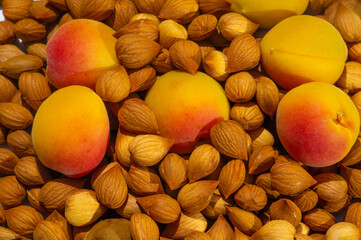 Apricot kernels, in the food industry, apricot kernels can be used in the preparation of low-fat...