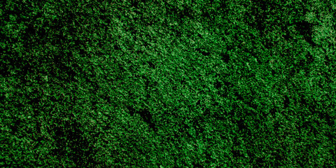 spooky dark green cement wall background. for design use