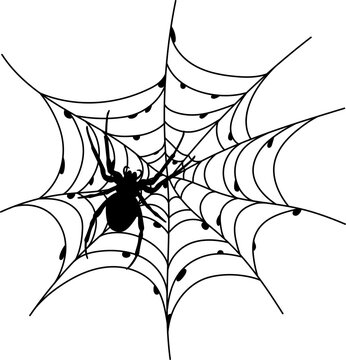 Scary black spider web isolated on white. Spooky halloween decoration.