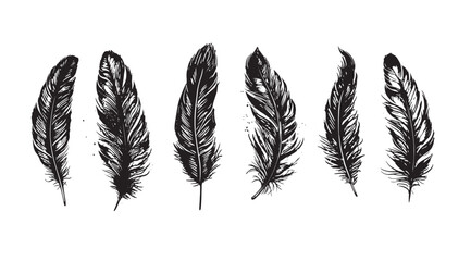Hand drawn feather on white background	

