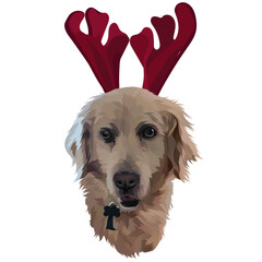 dog wearing santa hat