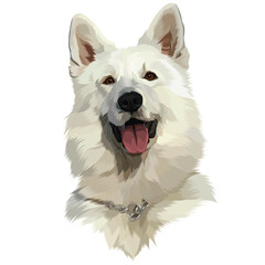 portrait of a white mountai dog