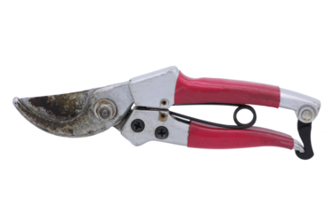 Pink secateur isolated on transparent background (PNG File)