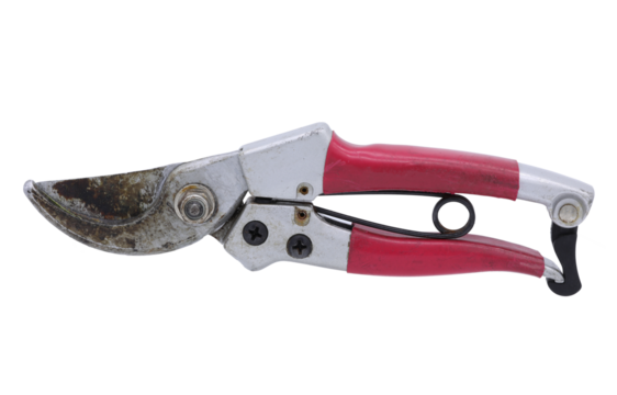 Pink secateur isolated on transparent background (PNG File)