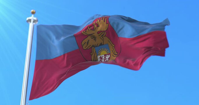 Flag of Jelgava state city, Latvia. Loop