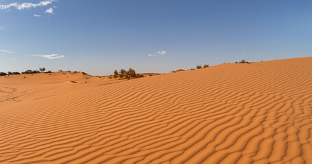 Sand dunes, desert and sky,Generative AI illustration