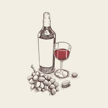 Wine and drink Hand drawn vector illustration. Vintage retro style