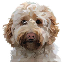 shih tzu dog portrait