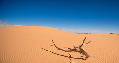 Desert sand - logs, grass and sky. Generative AI illustration