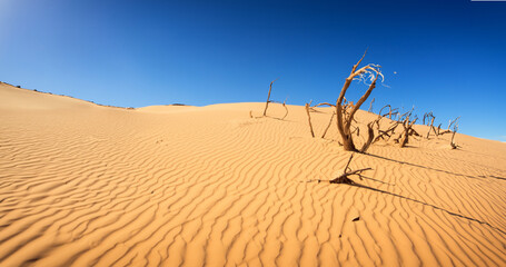 Desert sand - logs, grass and sky. Generative AI illustration