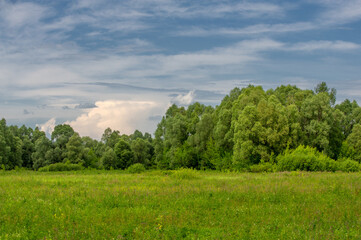 summer landscape, thunderclouds, blue sky, floodplain meadow fields, the aroma of summer colors and a variety of wildflowers