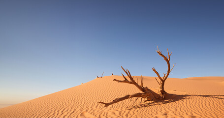 Desert sand - logs, grass and sky. Generative AI illustration