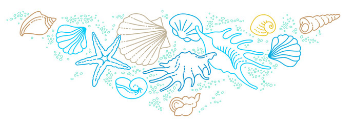 Illustration of line art tropical sea elements, seashells, starfish. Doodles of marine life. Sea decoration. Ocean, sea creatures. Maritime illustration