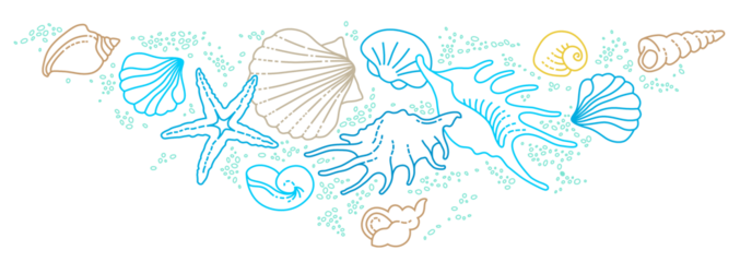 Illustration of line art tropical sea elements, seashells, starfish. Doodles of marine life. Sea decoration. Ocean, sea creatures. Maritime illustration