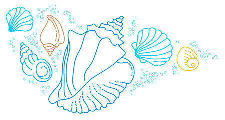 Illustration of line art tropical sea elements, seashells. Doodles of marine life. Sea decoration. Ocean, sea creatures. Maritime illustration