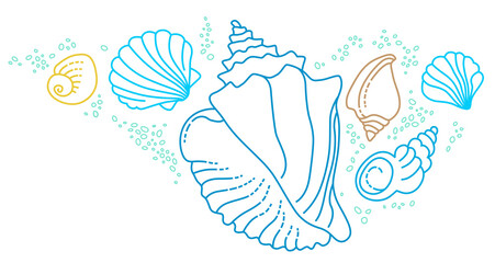 Illustration of line art tropical sea elements, seashells. Doodles of marine life. Sea decoration....