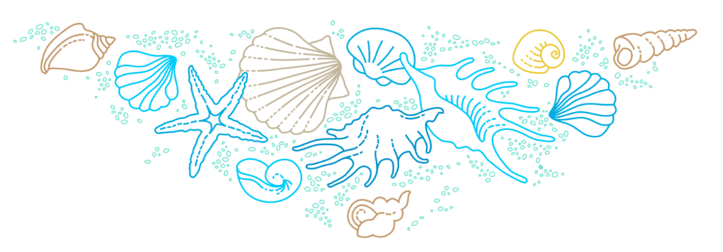 Illustration of line art tropical sea elements, seashells, starfish. Doodles of marine life. Sea decoration. Ocean, sea creatures. Maritime illustration