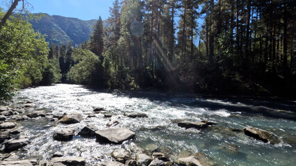 beautiful fast mountain stream with clear water at summertime day - photo of nature