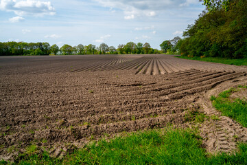 Fototapeta na wymiar Fresh ploughed field in a rural area in the Netherlands 