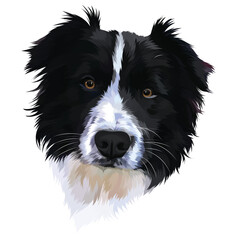 border collie dog wall decoration