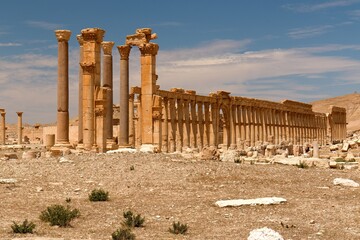 View of the ruins of the ancient city of Palmyra built in the 1st to 2nd century, the Great Colonnade. UNESCO World Heritage Site.