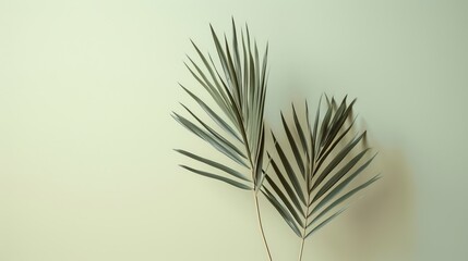 Refreshing delight, a minimalist composition of tropical palm leaves. AI generated