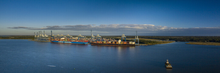 Two container ships docked at the Wando Welch Terminal