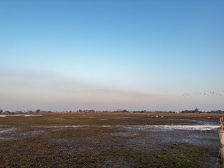 Landscape of indian farming field with blue sky.