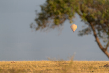 Balloon Safari at Masai Mara