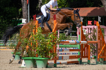 Show jumping competition on horseback. Horse Jumping, Equestrian Sports, Show Jumping themed photo.
