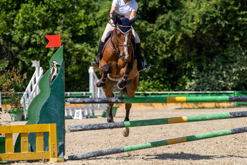 Show jumping competition on horseback. Horse Jumping, Equestrian Sports, Show Jumping themed photo.
