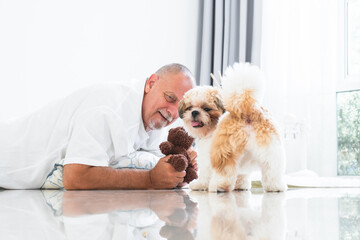 Caucasian elderly kind man playing with shih tzu puppy dog at home. Senior man in white beard lying on floor, smiling, holding doll toy, looking at little fluffy dog pet. Selective focus on old man